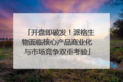 开盘即破发！派格生物面临核心产品商业化与市场竞争双重考验