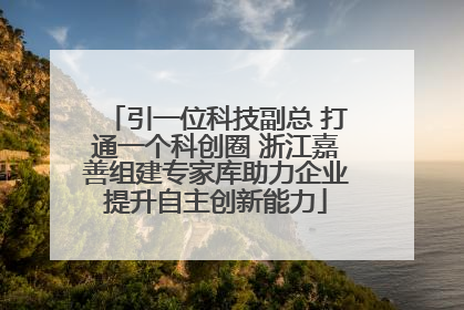 引一位科技副总 打通一个科创圈 浙江嘉善组建专家库助力企业提升自主创新能力