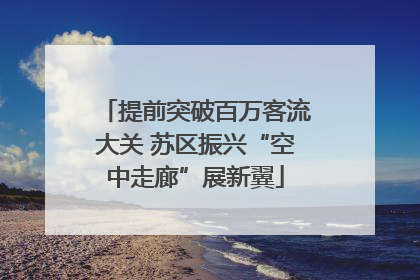 提前突破百万客流大关 苏区振兴“空中走廊”展新翼