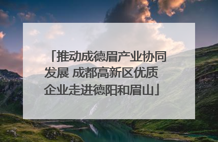 推动成德眉产业协同发展 成都高新区优质企业走进德阳和眉山