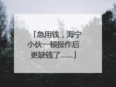 急用钱，海宁小伙一顿操作后更缺钱了……
