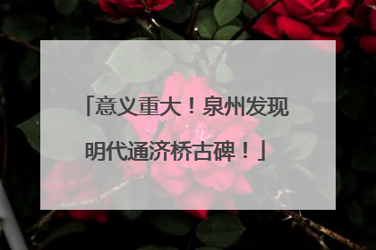 意义重大！泉州发现明代通济桥古碑！