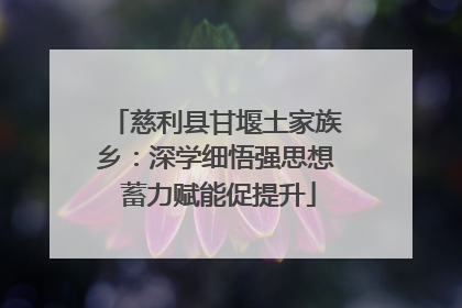 慈利县甘堰土家族乡：深学细悟强思想 蓄力赋能促提升