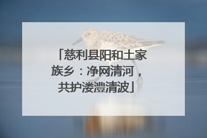 慈利县阳和土家族乡：净网清河，共护溇澧清波