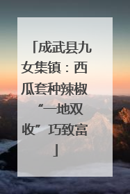 成武县九女集镇：西瓜套种辣椒 “一地双收”巧致富
