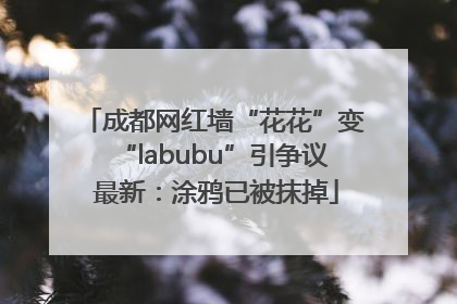 成都网红墙“花花”变“labubu”引争议 最新：涂鸦已被抹掉