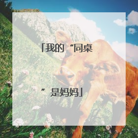 我的“同桌”是妈妈
