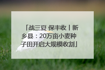 战三夏 保丰收丨新乡县：20万亩小麦种子田开启大规模收割
