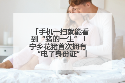 手机一扫就能看到“猪的一生”！宁乡花猪首次拥有“电子身份证”
