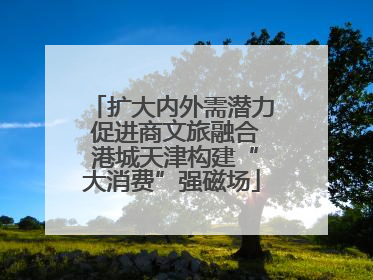 扩大内外需潜力 促进商文旅融合 港城天津构建“大消费”强磁场