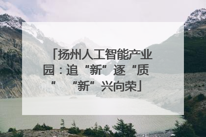 扬州人工智能产业园：追“新”逐“质” “新”兴向荣