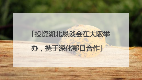 投资湖北恳谈会在大阪举办，携手深化鄂日合作