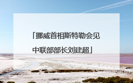 挪威首相斯特勒会见中联部部长刘建超