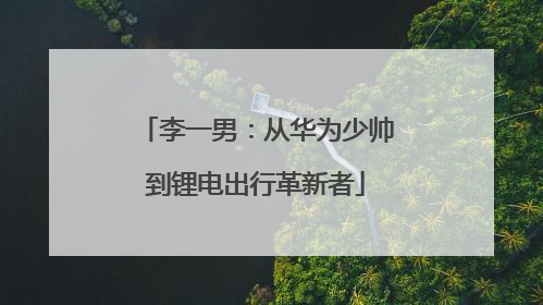 李一男：从华为少帅到锂电出行革新者