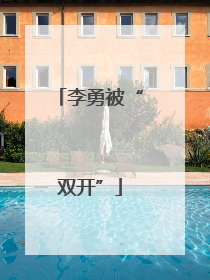 李勇被“双开”