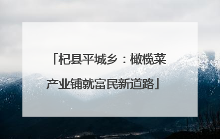 杞县平城乡：橄榄菜产业铺就富民新道路