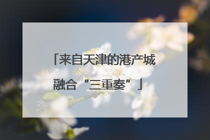 来自天津的港产城融合“三重奏”