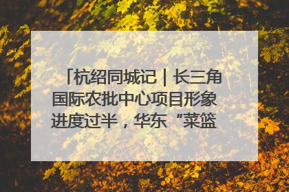 杭绍同城记｜长三角国际农批中心项目形象进度过半，华东“菜篮子”建设加码提速！