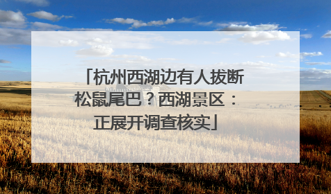 杭州西湖边有人拔断松鼠尾巴？西湖景区：正展开调查核实