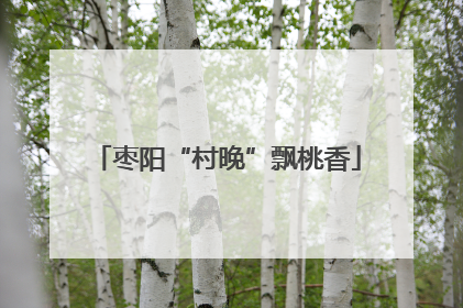 枣阳“村晚”飘桃香