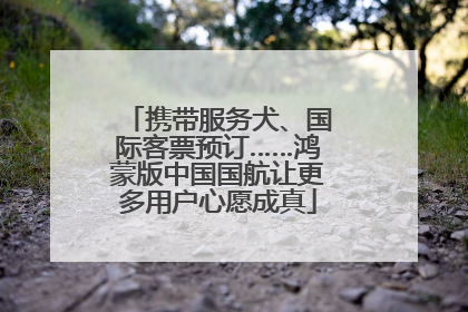 携带服务犬、国际客票预订……鸿蒙版中国国航让更多用户心愿成真