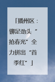 播州区：铆足劲头“抢春光”全力拼出“首季红”