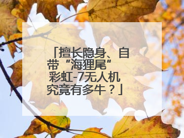 擅长隐身、自带“海狸尾” 彩虹-7无人机究竟有多牛？