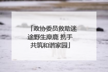 政协委员救助迷途野生麋鹿 携手共筑和谐家园