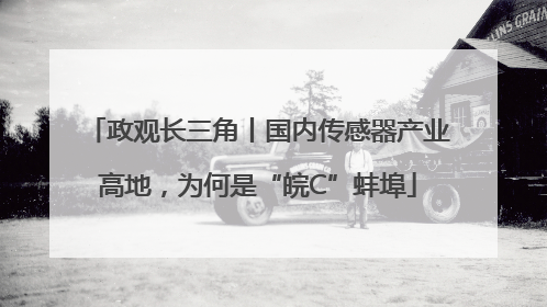 政观长三角丨国内传感器产业高地，为何是“皖C”蚌埠
