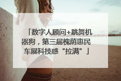 数字人顾问+跳舞机器狗，第三届槐荫惠民车展科技感“拉满”