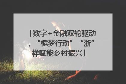 数字+金融双轮驱动，“栀梦行动”“浙”样赋能乡村振兴