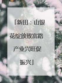 新田：山银花绽放致富路 产业兴旺促振兴