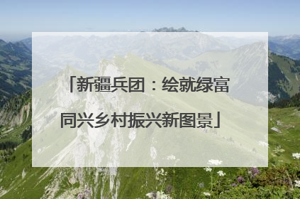 新疆兵团：绘就绿富同兴乡村振兴新图景