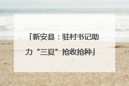 新安县：驻村书记助力“三夏”抢收抢种
