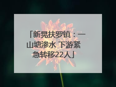 新晃扶罗镇：一山塘渗水 下游紧急转移22人