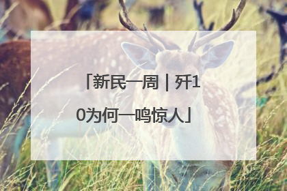 新民一周｜歼10为何一鸣惊人