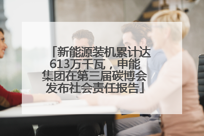 新能源装机累计达613万千瓦，申能集团在第三届碳博会发布社会责任报告