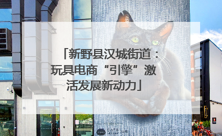 新野县汉城街道：玩具电商“引擎”激活发展新动力