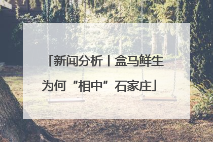 新闻分析丨盒马鲜生为何“相中”石家庄