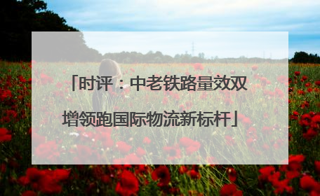 时评：中老铁路量效双增领跑国际物流新标杆