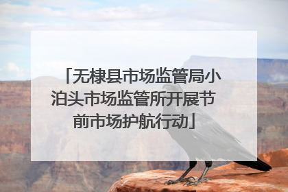 无棣县市场监管局小泊头市场监管所开展节前市场护航行动