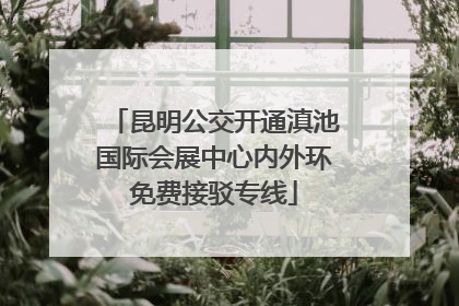 昆明公交开通滇池国际会展中心内外环免费接驳专线