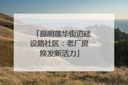 昆明莲华街道建设路社区：老厂房焕发新活力