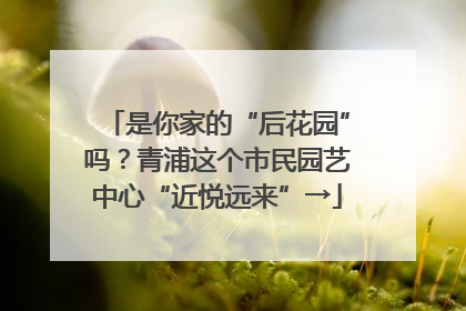 是你家的“后花园”吗？青浦这个市民园艺中心“近悦远来”→
