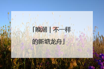 晚潮｜不一样的新塘龙舟
