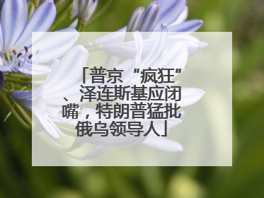普京“疯狂”、泽连斯基应闭嘴，特朗普猛批俄乌领导人