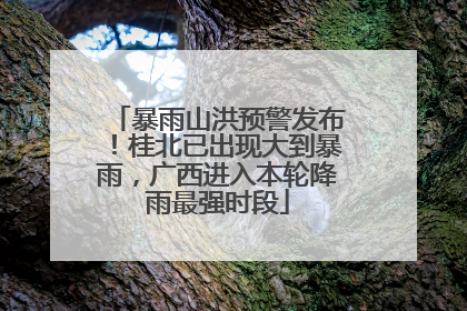 暴雨山洪预警发布！桂北已出现大到暴雨，广西进入本轮降雨最强时段