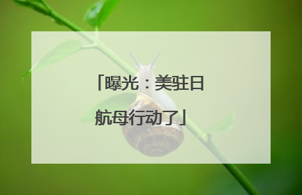 曝光：美驻日航母行动了