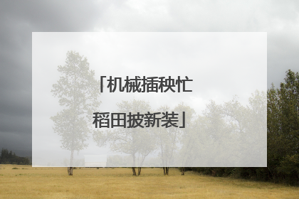机械插秧忙 稻田披新装