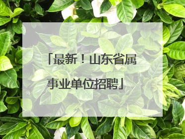 最新！山东省属事业单位招聘